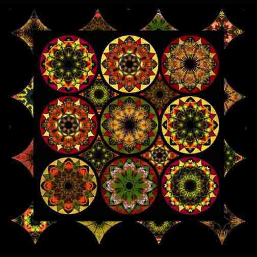 Australian Rose Window